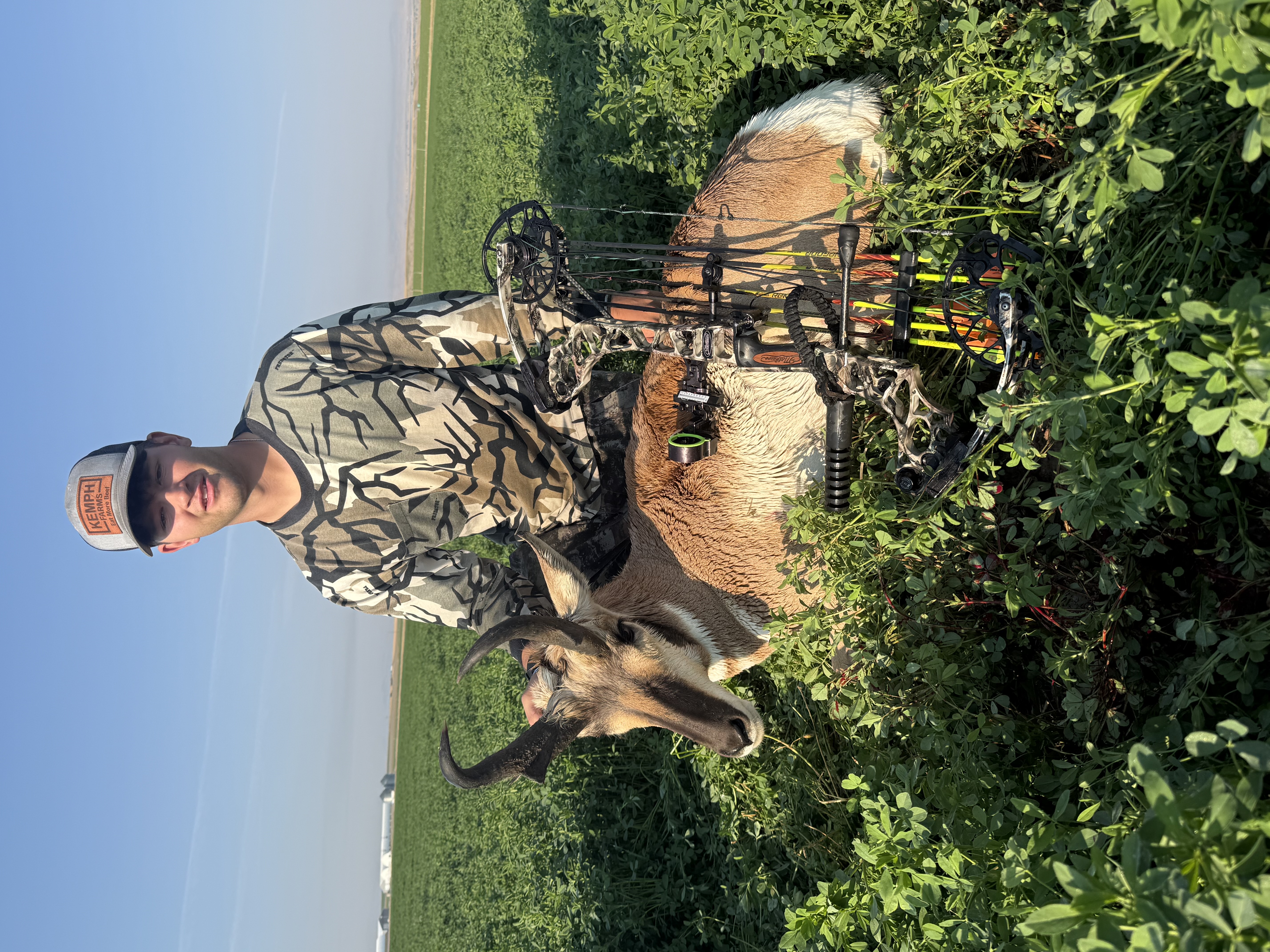 Pronghorn
